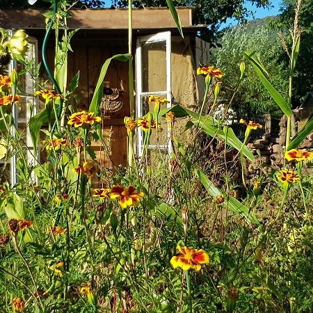 Le Jardin Des Gouttes Bed and Breakfast Rougegoutte Eksteriør billede