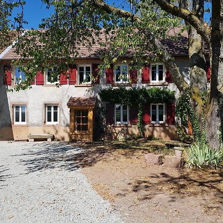 Le Jardin Des Gouttes Bed and Breakfast Rougegoutte Eksteriør billede