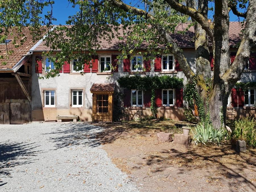 Le Jardin Des Gouttes Bed and Breakfast Rougegoutte Eksteriør billede
